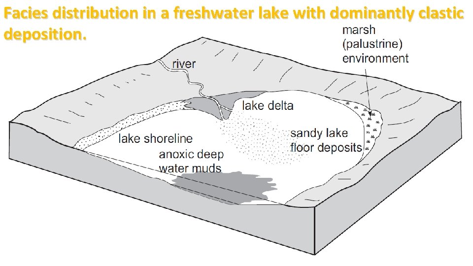 Facies distribution in a freshwater lake with dominantly clastic deposition. 