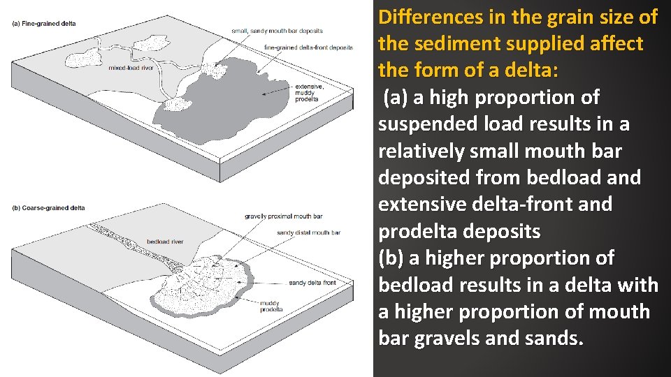 Differences in the grain size of the sediment supplied affect the form of a