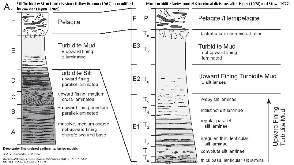 Silt Turbidite: Structural divisions follow Bouma (1962) as modified by van der Lingen (1969).