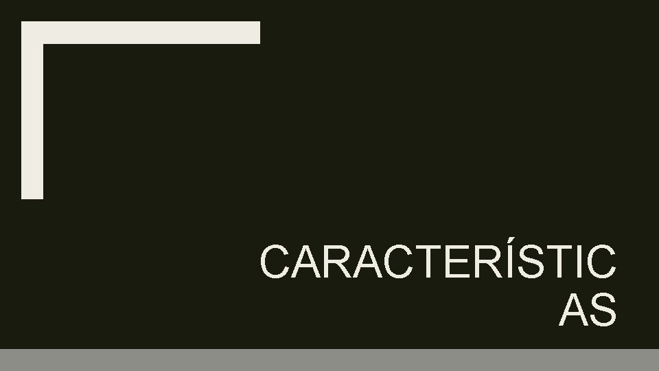 CARACTERÍSTIC AS 