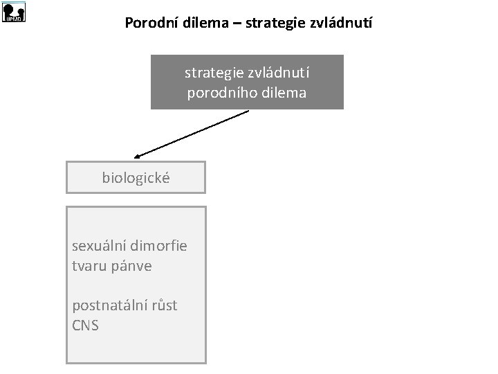 Porodní dilema – strategie zvládnutí porodního dilema biologické sexuální dimorfie tvaru pánve postnatální růst