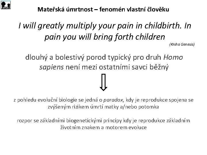 Mateřská úmrtnost – fenomén vlastní člověku I will greatly multiply your pain in childbirth.