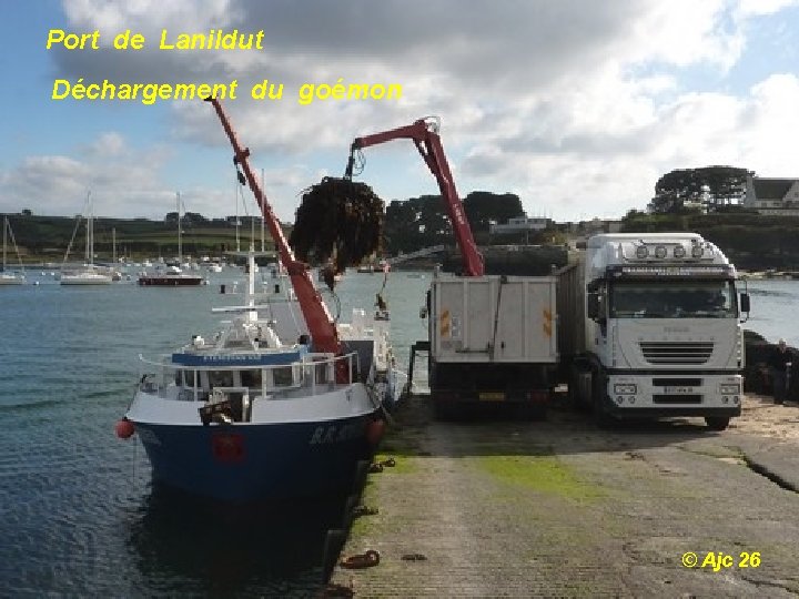 Port de Lanildut Déchargement du goémon © Ajc 26 