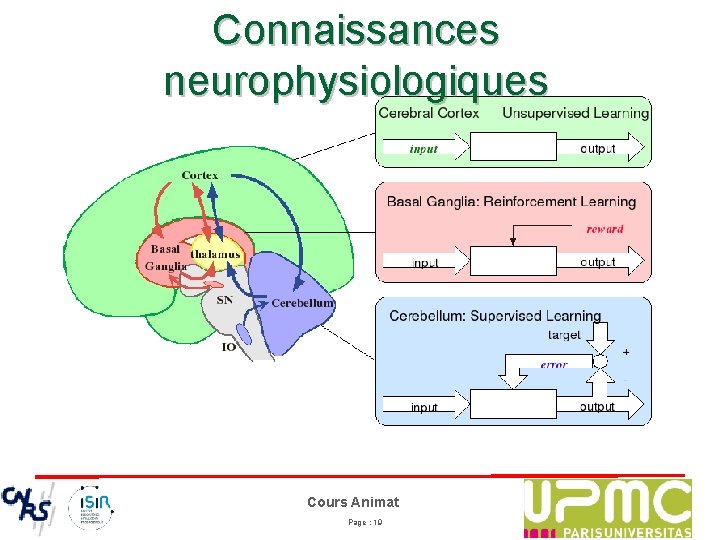 Connaissances neurophysiologiques Cours Animat Page : 19 