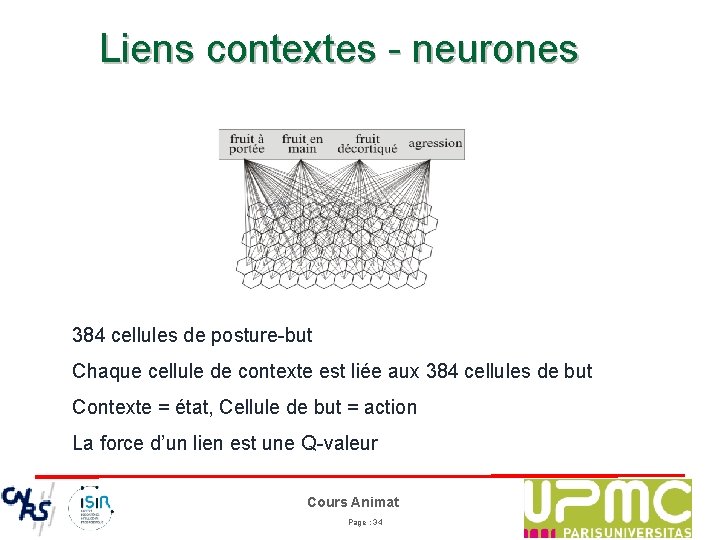 Liens contextes - neurones 384 cellules de posture-but Chaque cellule de contexte est liée
