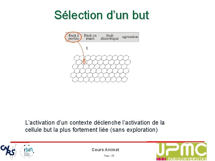 Sélection d’un but L’activation d’un contexte déclenche l’activation de la cellule but la plus