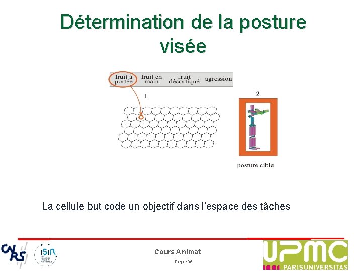 Détermination de la posture visée La cellule but code un objectif dans l’espace des