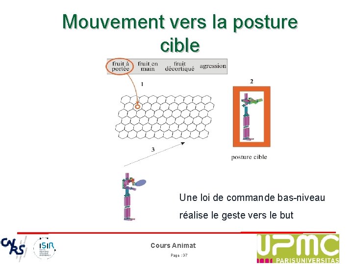 Mouvement vers la posture cible Une loi de commande bas-niveau réalise le geste vers