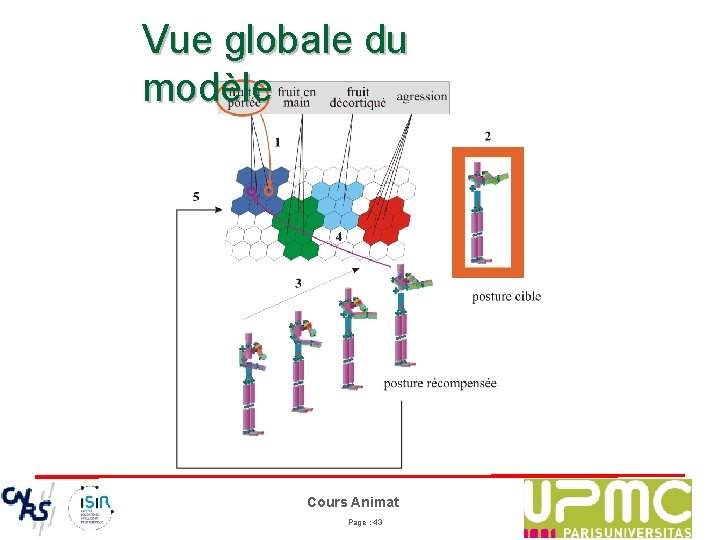 Vue globale du modèle Cours Animat Page : 43 