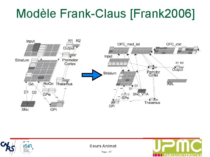 Modèle Frank-Claus [Frank 2006] Cours Animat Page : 47 