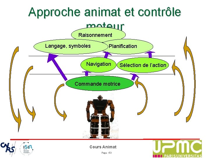 Approche animat et contrôle moteur Raisonnement Langage, symboles Planification Navigation Sélection de l’action Commande