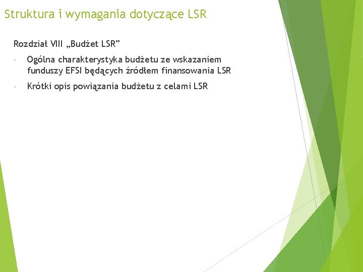 Struktura i wymagania dotyczące LSR Rozdział VIII „Budżet LSR” - Ogólna charakterystyka budżetu ze