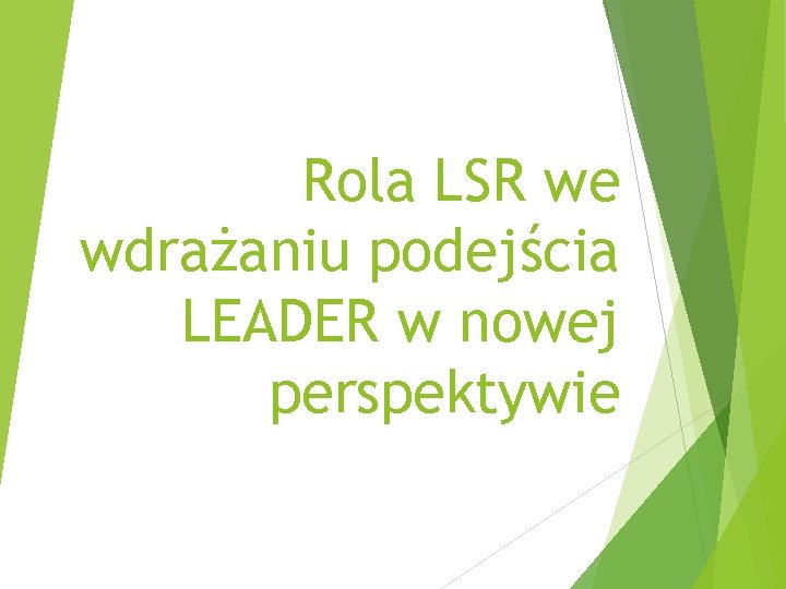 Rola LSR we wdrażaniu podejścia LEADER w nowej perspektywie 