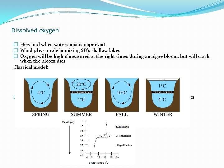 Dissolved oxygen � How and when waters mix is important � Wind plays a