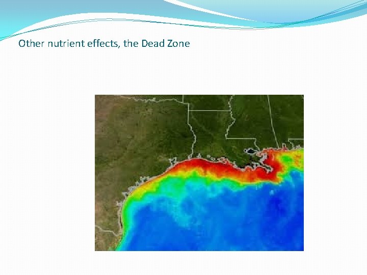 Other nutrient effects, the Dead Zone 