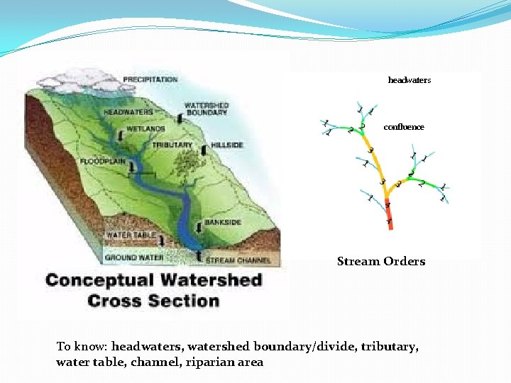 headwaters confluence Stream Orders To know: headwaters, watershed boundary/divide, tributary, water table, channel, riparian