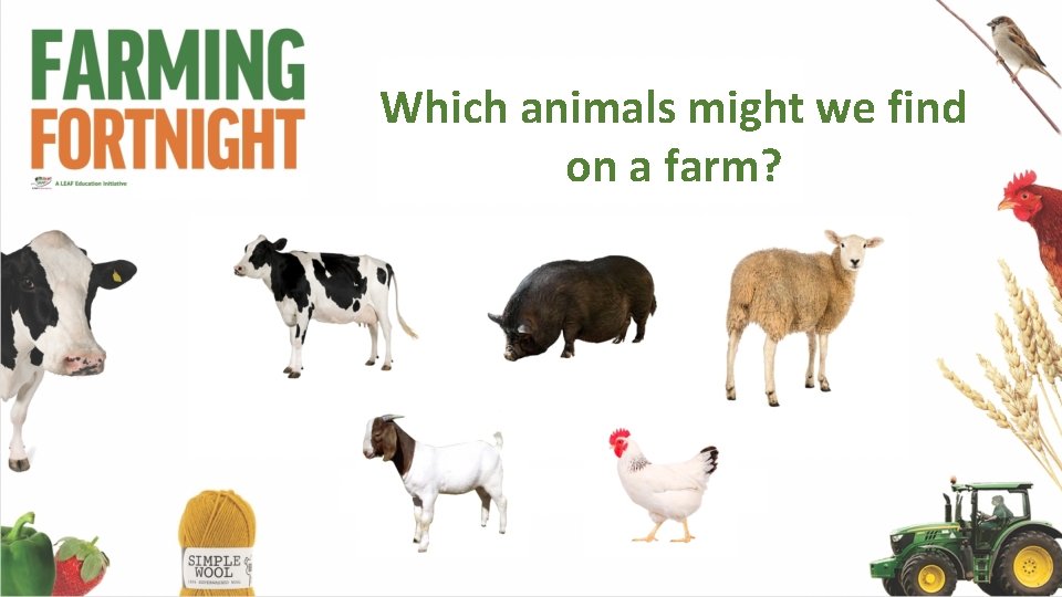 Which animals might we find on a farm? 