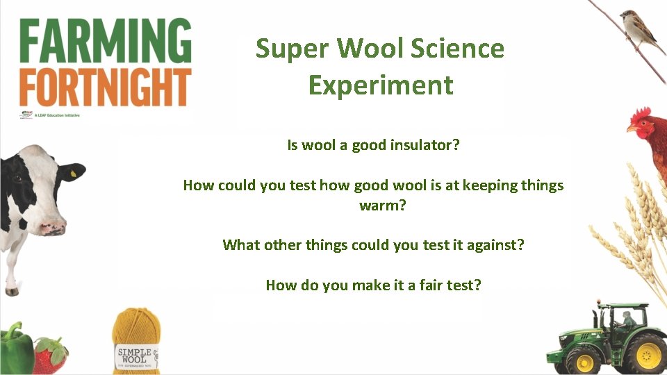 Super Wool Science Experiment Is wool a good insulator? How could you test how