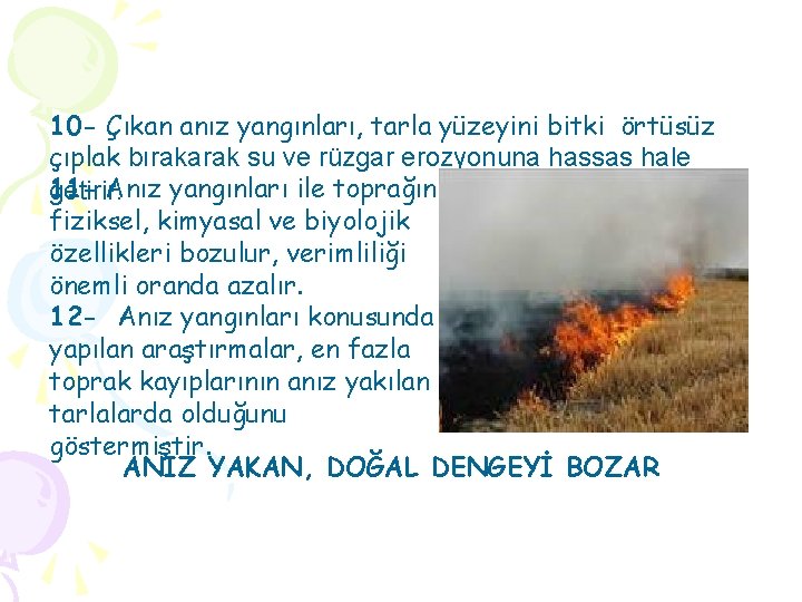 10 - Çıkan anız yangınları, tarla yüzeyini bitki örtüsüz çıplak bırakarak su ve rüzgar