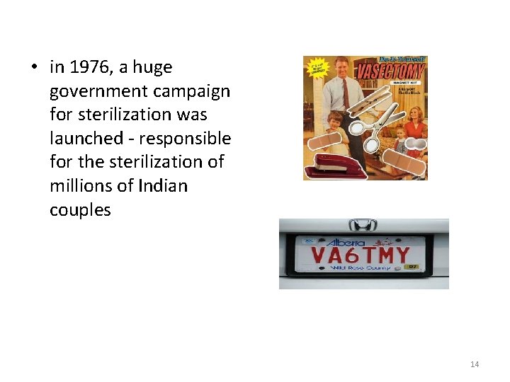  • in 1976, a huge government campaign for sterilization was launched - responsible