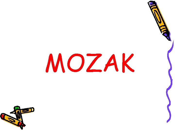MOZAK 