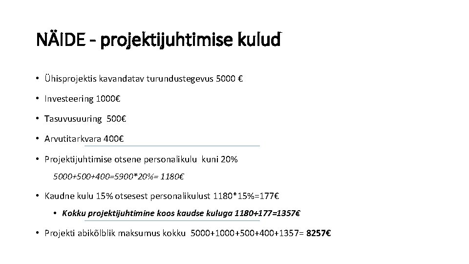 NÄIDE - projektijuhtimise kulud • Ühisprojektis kavandatav turundustegevus 5000 € • Investeering 1000€ •