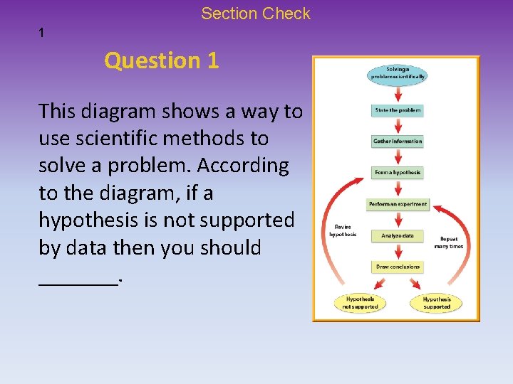 Section Check 1 Question 1 This diagram shows a way to use scientific methods