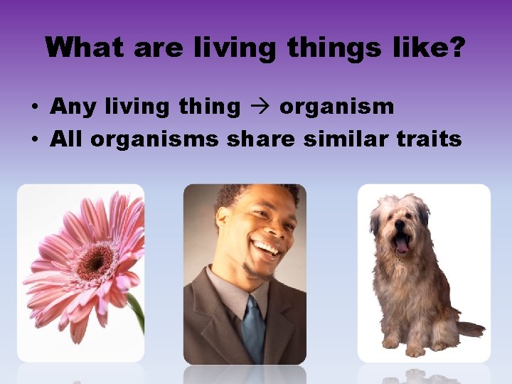 What are living things like? • Any living thing organism • All organisms share