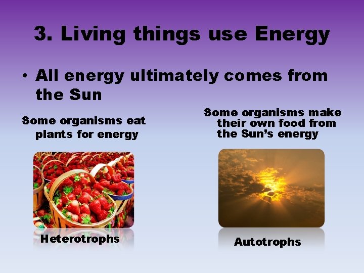 3. Living things use Energy • All energy ultimately comes from the Sun Some