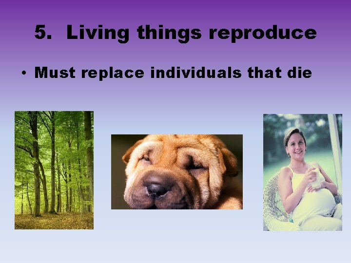 5. Living things reproduce • Must replace individuals that die 