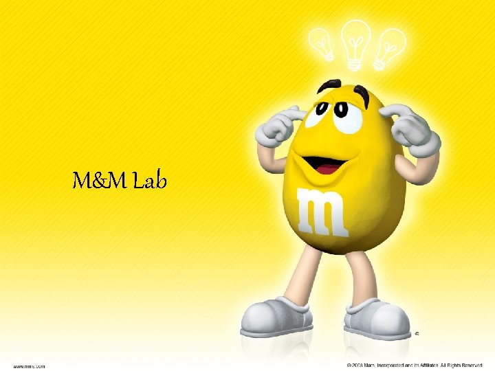 M&M Lab 