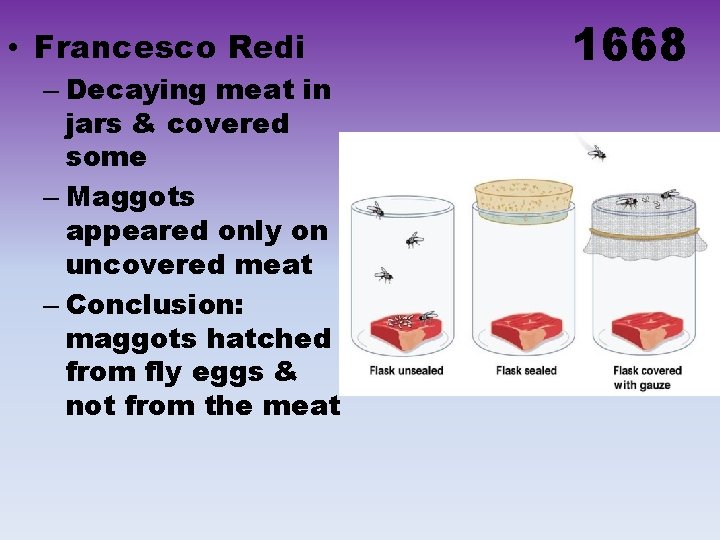  • Francesco Redi – Decaying meat in jars & covered some – Maggots