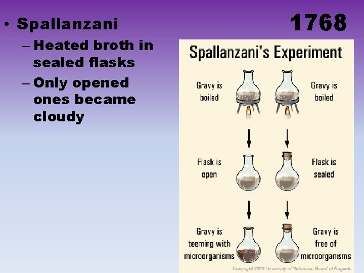  • Spallanzani – Heated broth in sealed flasks – Only opened ones became