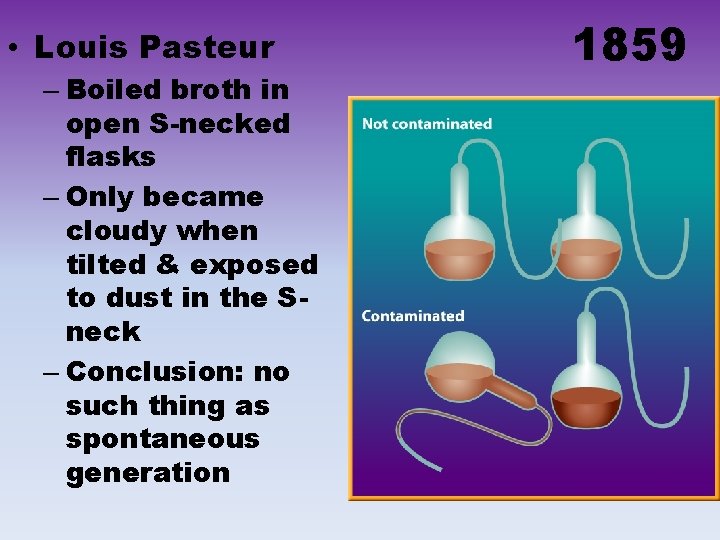  • Louis Pasteur – Boiled broth in open S-necked flasks – Only became