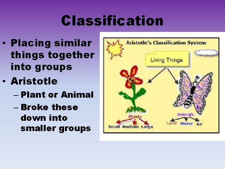 Classification • Placing similar things together into groups • Aristotle – Plant or Animal