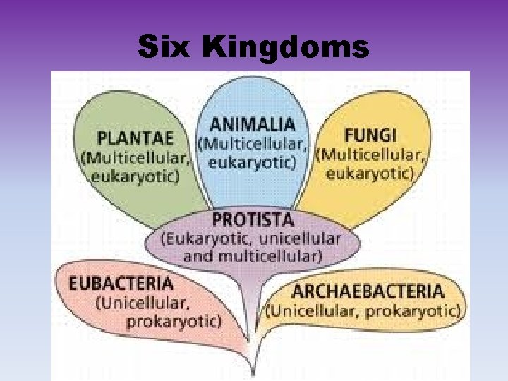 Six Kingdoms 