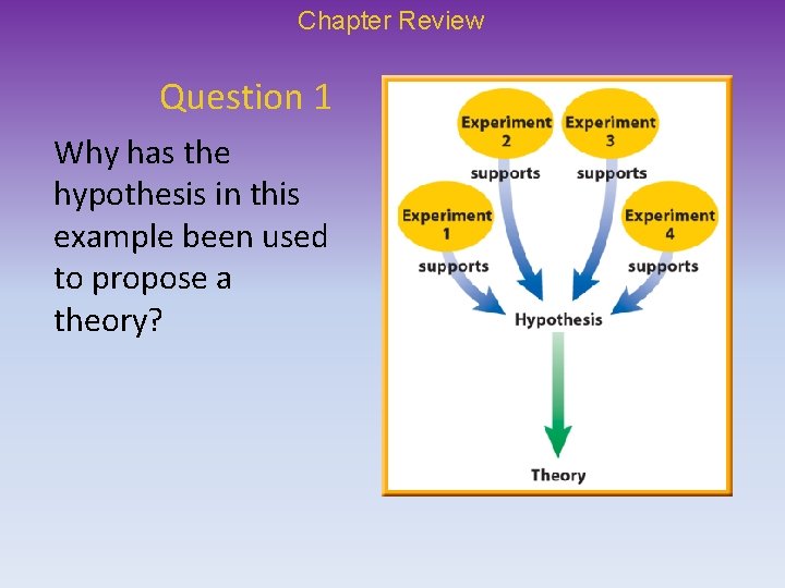 Chapter Review Question 1 Why has the hypothesis in this example been used to