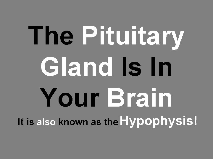 The Pituitary Gland Is In Your Brain It is also known as the Hypophysis!
