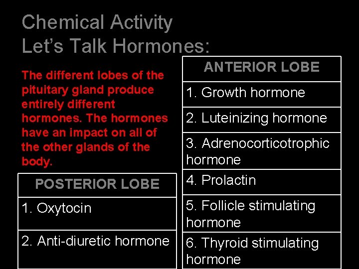 Chemical Activity Let’s Talk Hormones: The different lobes of the pituitary gland produce entirely
