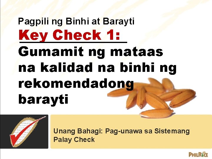 Pagpili ng Binhi at Barayti Key Check 1: Gumamit ng mataas na kalidad na