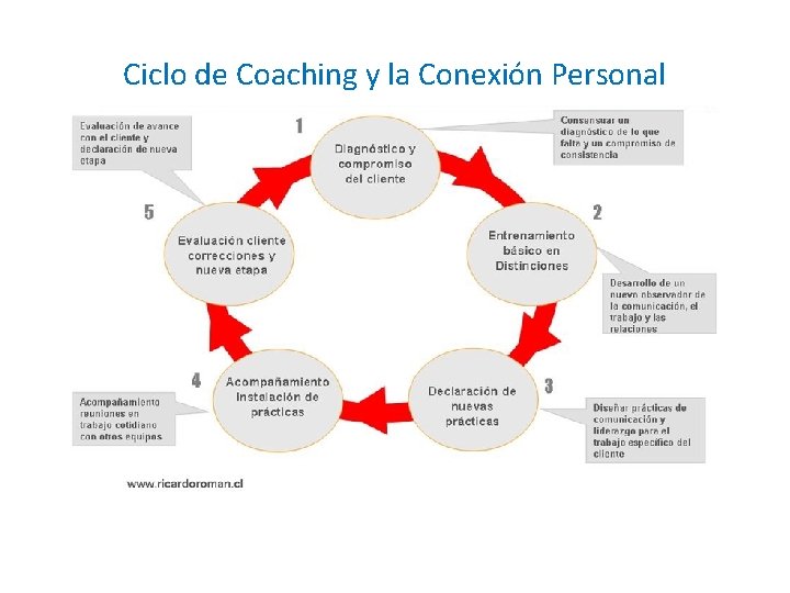 Ciclo de Coaching y la Conexión Personal 