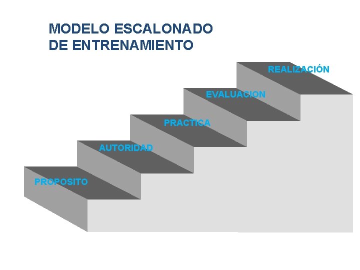 MODELO ESCALONADO DE ENTRENAMIENTO REALIZACIÓN EVALUACION PRACTICA AUTORIDAD PROPOSITO 