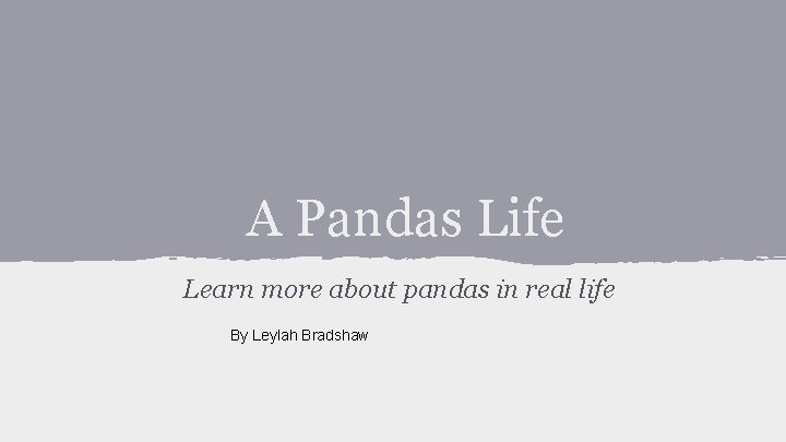 A Pandas Life Learn more about pandas in real life By Leylah Bradshaw 