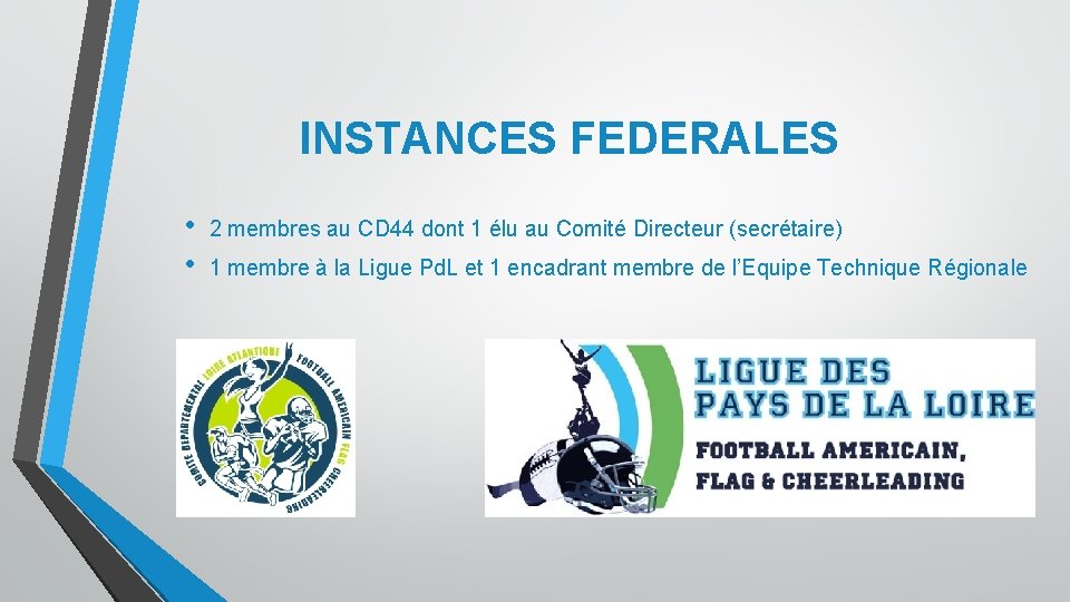 INSTANCES FEDERALES • • 2 membres au CD 44 dont 1 élu au Comité