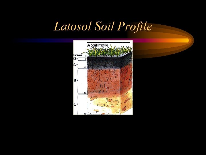 Latosol Soil Profile 