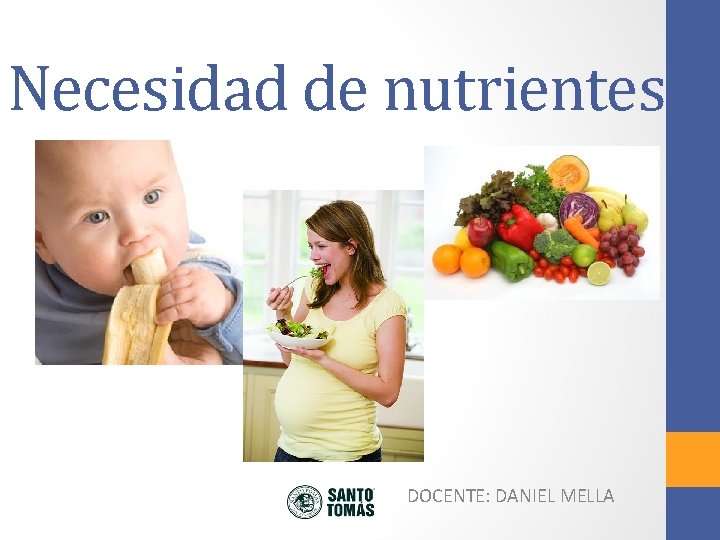 Necesidad de nutrientes DOCENTE: DANIEL MELLA 