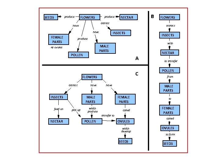 produce SEEDS FLOWERS produce attract have FEMALE PARTS INSECTS with A C FLOWERS attract