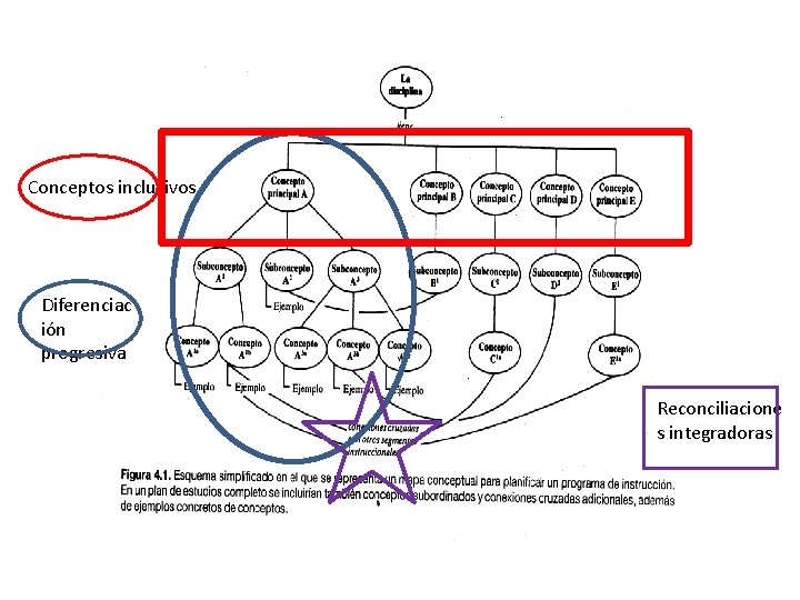 Conceptos inclusivos Diferenciac ión progresiva Reconciliacione s integradoras 