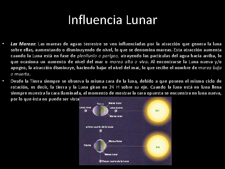 Influencia Lunar • • Las Mareas: Las mareas de aguas terrestre se ven influenciadas