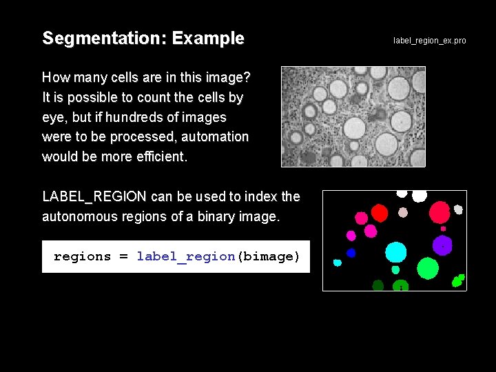 Segmentation: Example How many cells are in this image? It is possible to count